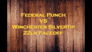 22lr Gel Test Federal Punch vs Winchester Silvertip [upl. by Lucias]