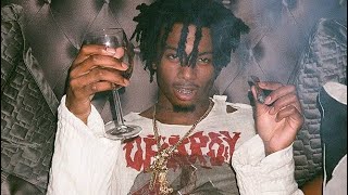 Free  Playboi Carti Hard  2024 Type beat “Red Sky “ [upl. by Beutner]