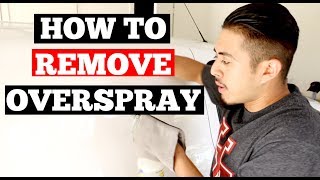 How To REMOVE OVERSPRAY From Car Paint  Auto Detailing Tips [upl. by Ahsyia]