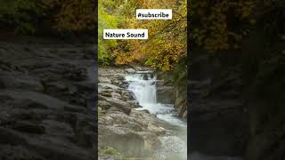 nature sound stream whitenoise subscribe [upl. by Nannarb382]