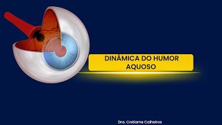 Dinâmica do Humor Aquoso [upl. by Nnanaej]