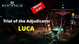 Trial of the Adjudicator Quest Location  New World [upl. by Eillek]