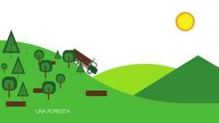 Ecosostenibilità e certificazioni  Motion Graphic Video ITA [upl. by Sheffie415]