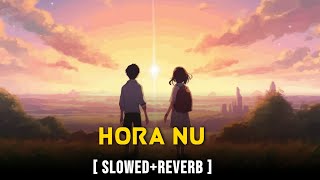 Hora Nu  SlowedReverb  Pearl V Puri  Sara Gurpal [upl. by Friedman237]