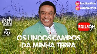 Agnaldo Timóteo  Os Verdes Campos Da Minha Terra [upl. by Akimihs]