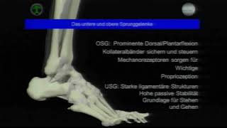 Physiotherapeutisches Management von OSGStrukturschäden [upl. by Desiri]