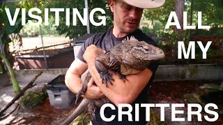 Visiting ALL of my FAMOUS REPTILES [upl. by Nerw]