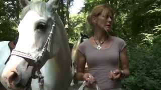 Bibi amp Tina  Einfach Anders  Das sind Bibi amp Tina  mit LYRICS zum Mitsingen [upl. by Otti]