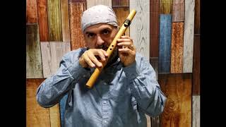 How to Play the Native American Flute in under 10 minutes EASY Lesson 1 [upl. by Htelimay]