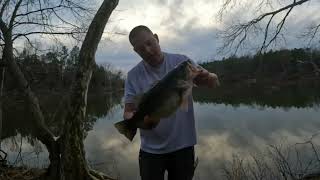 The 6quot Magdraft is catching huge prespawn bass [upl. by Akeem544]