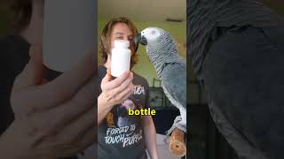 This Parrot Knows his BWords 😳 [upl. by Pryce]