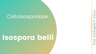 Cistoisosporíase isospora belli [upl. by Melise]