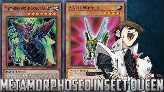 YuGiOh Duel Links  Metamorphosed Insect Queen Beatdown [upl. by Yedsnil818]