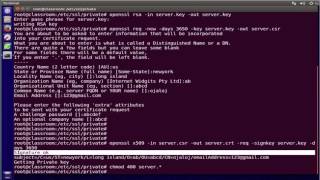 Create a Self Signed SSL Certificate for Nginx Web Server On Linux [upl. by Aerb]