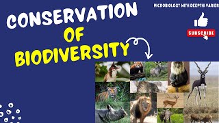 Conservation of Biodiversity  Threats to Biodiversity  EVS  Environmental Studies [upl. by Emanuel]