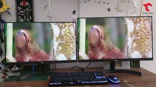 monitor 22 inch vs 24 inch 22MK600 vs 24MK600 Size Comparison [upl. by Limbert]