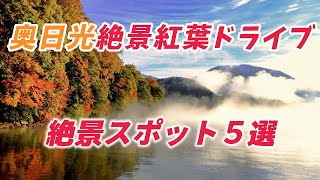 奥日光絶景紅葉ドライブ ”絶景スポット5選” 奥日光の絶景紅葉ロード 自然が織りなす絶景を堪能！ [upl. by Renfred]