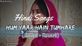 Hum Pyaar Hai Tumhare  Haan Maine Bhi Pyaar Kiya  Kumar SanuAlka Yagnik  2024 SlowedReverb [upl. by Nnylodnewg]