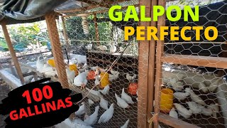 Como hacer un GALPON casero para Gallinas y Pollos de engorde FÁCIL para 100 gallinas [upl. by Notsur27]