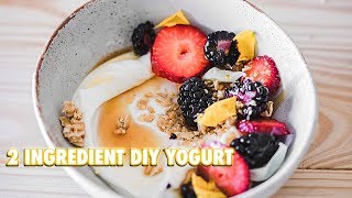 How To Make Your Own Yogurt With 2 Ingredients [upl. by Weinhardt]