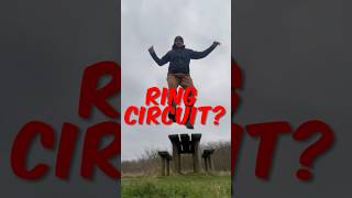 Ring Circuits OR Radial Circuits What is Best shorts electrican electricianlife [upl. by Annahgiel]