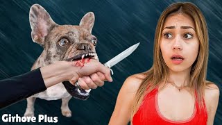 Ivanita lomeli  My Dog ATTACKED My Stalker  lucas and marcus [upl. by Kcitrap]