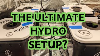 The Ultimate MEDIALESS hydroponic system for MINSTER ROOTS HydraUnlimited [upl. by Aketahs]