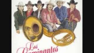 los caminantes con banda para que quieres volver 0001 [upl. by Liss]