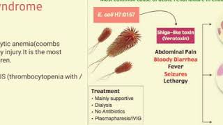 Hemolytic Uremic Syndrome  HUS❤  presentation Notes [upl. by Gamin]