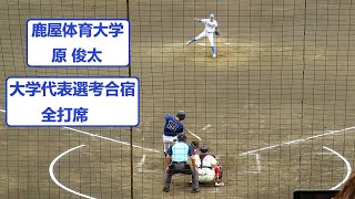 202361819 原 俊太 （鹿屋体育大学） 4年生 大学日本代表選考合宿 全打席 [upl. by Noak]