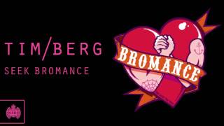 Tim Berg  Seek Bromance Bimbo Jones Remix [upl. by Siesser238]