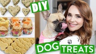 DIY DOG TREATS [upl. by Joktan]