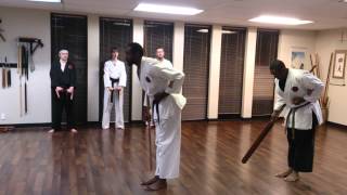 Okinawan Kobudo Eku Bo quotOarquot vs Long Staff quotBo quot [upl. by Aderf]