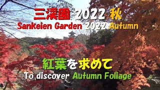 三渓園2022秋★紅葉を求めて★Sankeien Garden 2022 AutomnTo discover Autumn Foliage [upl. by Korns]