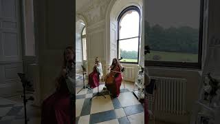 Blitzkrieg Bop  The Ramones performed by Serenity String Duo at Crowcombe Court [upl. by Ahsener]