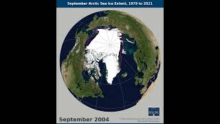 September Arctic Sea Ice Extent 1979 to 2021 [upl. by Wardieu]