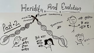 heredity and evolution class 10 part 2 GKP  class 10 science chapter 9 heredity and evolution [upl. by Asum]