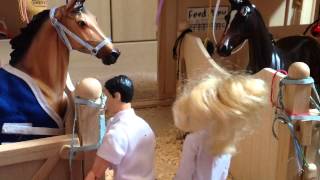 Breyer Horse Series quotLifequot Ep 1 [upl. by Harriman]