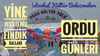 İstanbul Kültür Buluşmaları Ordu Günleri [upl. by Anthe]