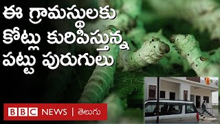 Sericulture ఒకప్పుడు మూటలు మోసిన కూలీలు ఇప్పుడు సొంతకార్లలో తిరుగుతున్నారు  BBC Telugu [upl. by Ahsykal]