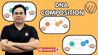 DNA COMPOSITION  BASICS OF DNA STRUCTURE  MOLECULAR BIOLOGY CSIR NET LIFE SCIENCE  NILESH SONI [upl. by Nodrog]