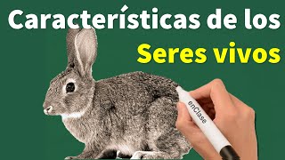 ⭐Características de los seres vivos 📚enClase Biología [upl. by Eemaj150]