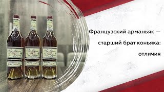 Арманьяк и коньяк разница особенности история [upl. by Shelba]