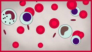 What is a hematopoietic stem cell Narrated by Dr Connie Eaves [upl. by Sanchez779]