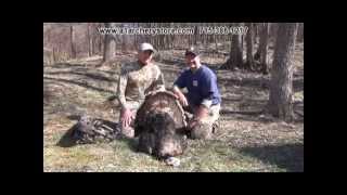 Nebrasaka Archery Merriam Turkey hunt A1 Archery Tombstone Creek Outfitting Wiebelhaus Guiding [upl. by Malarkey]