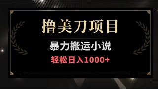 9月最新噜美刀项目，瀑利搬运小说，轻松日入1000，简单好复制，可矩阵放大操作，附保姆级教程 [upl. by Saw]