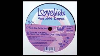 Lovebirds feat Stee Downes  Want You In My Soul Original Mix [upl. by Oznofla161]