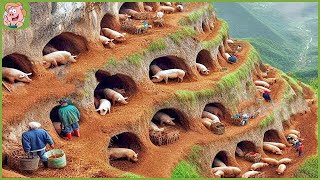 INCREÍBLE GRANJA DE CERDOS Un Granjero Chino Cava Una Cueva Para Criar Cerdos en la Montaña [upl. by Bouldon133]