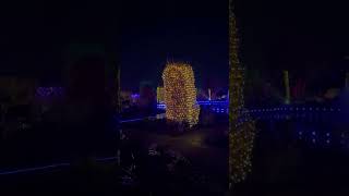 Christmas light show at RHS Bridgewater [upl. by Edaw976]