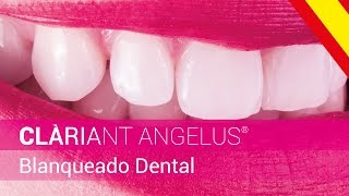 CLÀRIANT ANGELUS®  Blanqueado Dental  Asociación Técnica [upl. by Suirtimid]